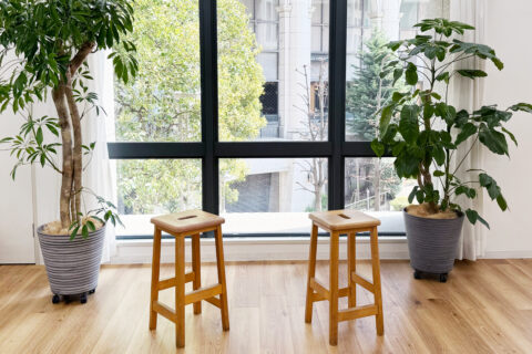 STUDIO DA VINCI
